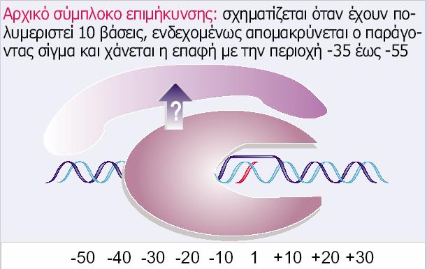 από την RNA