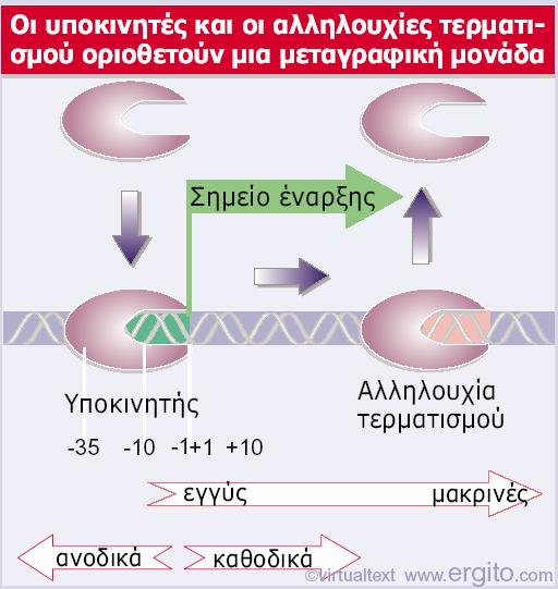 Ορισμός της