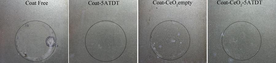 Εικόνα 20 Οπτικές φωτογραφίες των δειγμάτων μετά από έκθεση σε διάλυμα 0,5M NaCl για 8 μέρες σε θερμοκρασία περιβάλλοντος: Coat-Free, Coat-inhibitor, Coat-emptyCeO2, Coat-loadedCeO 2. 8.2.2.Αντιδιαβρωτική Δοκιμασία Η διαδικασία της αντιδιαβρωτικής δοκιμασίας περιλαμβάνει την έκθεση των επικαλυμμένων πλαισίων σε διάλυμα 0,5 M NaCl για 8 μέρες.