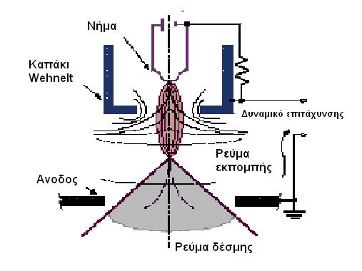 5. Μέθοδοι χαρακτηρισμού. 5.1. Ηλεκτρονικό μικροσκόπιο σάρωσης (SEM) 5.1.1. Εισαγωγή Η αρχή λειτουργίας της μεθόδου βασίζεται στην αλληλεπίδραση μεταξύ μιας προσπίπτουσας δέσμης ηλεκτρονίων και του προς εξέταση δείγματος.