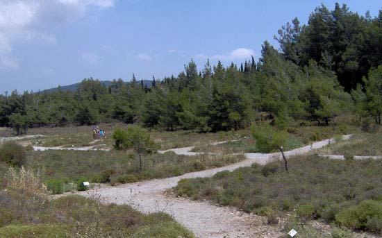 O φυσικός χώρος γύρω από το Διεθνές Ιπποκράτειο Ίδρυμα έχει διαμορφωθεί κατάλληλα ώστε να φιλοξενήσει και τα 256 φυτά που χρησιμοποιούσε ο Ιπποκράτης για τη θεραπεία των ασθενών του (Αντωνοπούλου,