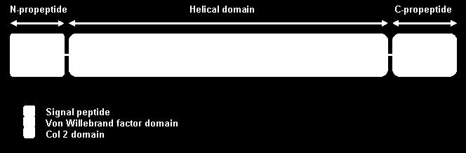 central triple helical domain is formed by 338