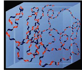 ΓΛΥΚΟΖΑΜΙΝΟΓΛΥΚΑΝΕΣ ΚΑΙ ΠΡΩΤΕΟΓΛΥΚΑΝΕΣ ΓΑΓ: Υαλουρονικό οξύ (ΥΟ) Δομή Σε χαμηλές συγκεντρώσεις: κάθε μόριο ΥΟ διαστέλλεται
