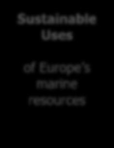 establishment of European Marine Regions Clean,