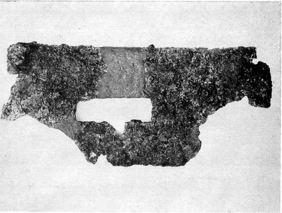 Πίν. 2 a.