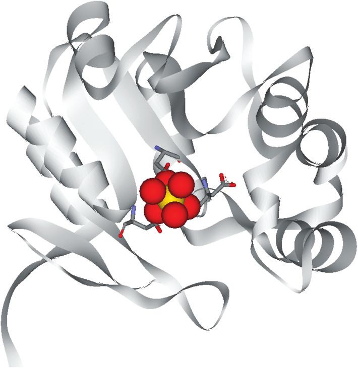 14 Gold(III) binding site in the AuCl 3 derivative of the native Esherichia coli AphA enzyme (PDB accession code 18).