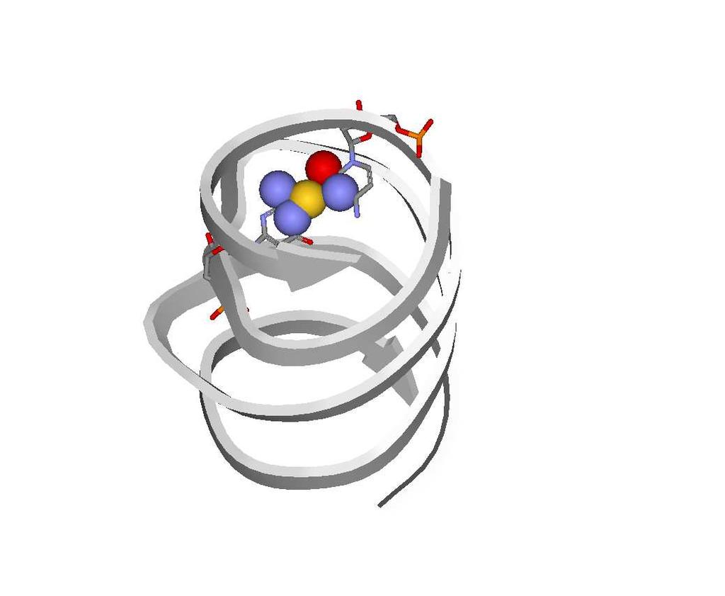 показују да се у комплексу злата(iii) са мутираним хуманим H феритином (H9X), јони злата(iii) координују за цистеин Cys140 и хистидин, His57 и His60, His118 и His173 (Слика 28), при чему бочни