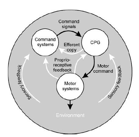 Σχήμα 2. Διάγραμμα των αλληλεπιδράσεων μεταξύ των συστημάτων ελέγχου, των Γ.Κ.Π., των συστημάτων κίνησης και του περιβάλλοντος.