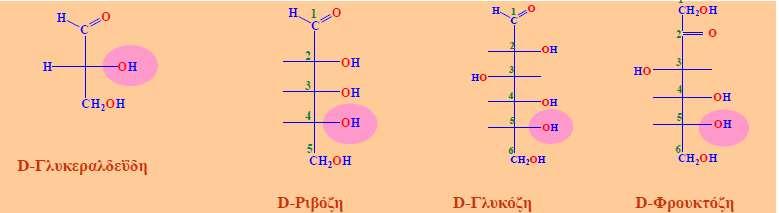 D, L Σάκχαρα D Σάκχαρα:η υδροξυλομάδα ΟΗ στο κατώτερο
