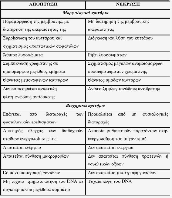 Εισαγωγή Πίνακας 2.