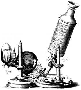 attēls, B) korėa šėērsgriezumā saskata auga organisma pamatelementus un dod tiem nosaukumu šūna (cellula) (2. attēls, C). Savus atklājumus Huks 1665.