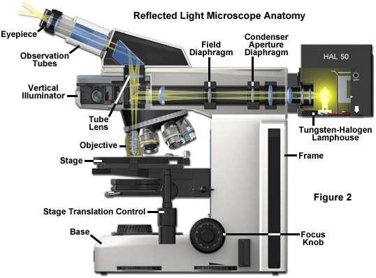 Atspindžio mikroskopas Skirtas stebėti neskaidrius