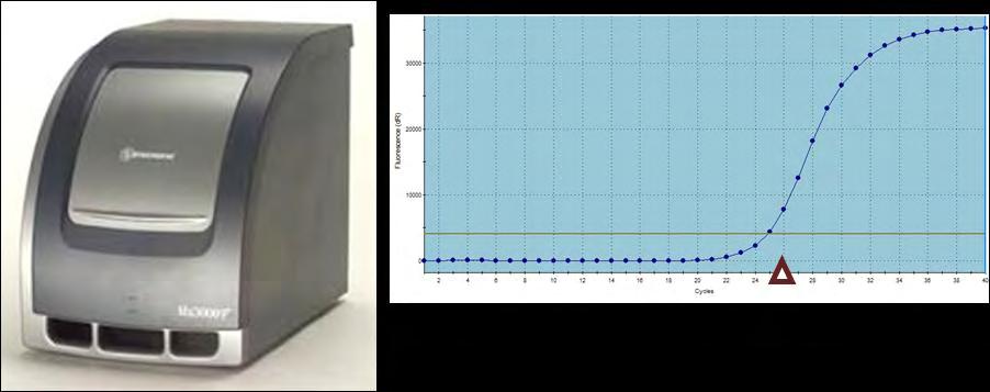 Μέθοδοι Εικόνα 48 Η πλατφόρμα Mx3000P (Agilent) που χρησιμοποιήθηκε στην παρούσα διατριβή και μία χαρακτηριστική γραφική παράσταση φθορισμού σε σχέση με τους κύκλους αντίδρασης Σχεδιασμός πειράματος