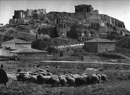 Μπίρτσας, Δημήτριος Ζιάνης, Βασίλειος Αρέτος Τμήμα