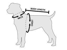 The role of echocardiography: