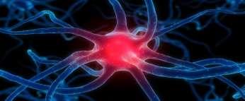 10th Panhellenic Conference on Alzheimer's Disease and Related Disorders and 2nd Mediterranean Conference on Neurodegenerative Diseases Η άνοια στα