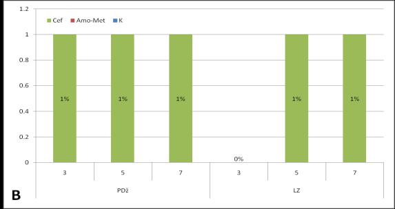 ДПЏ = Дубина пародонталног џепа; ЛЗ = лабављење зуба; Третман: К = контрола група; Амо-Мет = амоксицилин + метронидазол; Цеф = цефиксим Слика 4б-В.