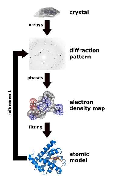 Αλάιπζε ηεο δνκήο κε αθηίλεο Υ Structure determination by X-ray