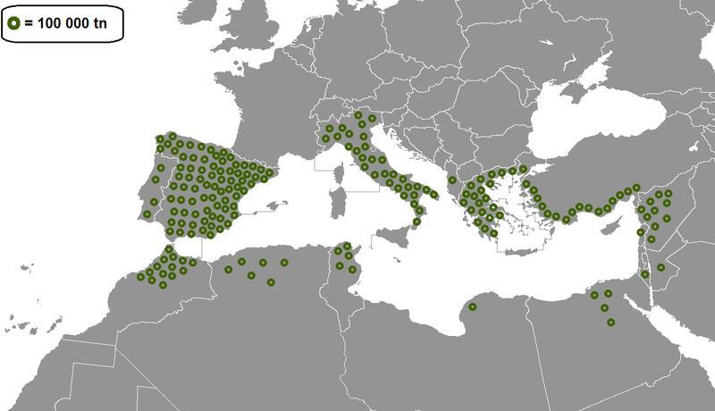 Η ελιά ευδοκιμεί σε εύκρατα κλίματα και ιδιαίτερα στον πετρώδη και άγονο χώρο της Μεσογείου.