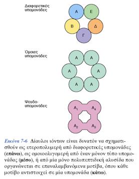 Δομή των διαύλων