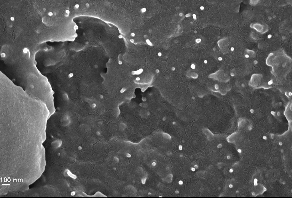 Σχήμα 5.1: Φωτογραφία SEM από τομή νανοσυνθέτου Ισχυρή εποξείδωση-ch2cl2. Σχήμα 5.2: Φωτογραφία SEM από τομή νανοσυνθέτου Ασθενής εποξείδωση.
