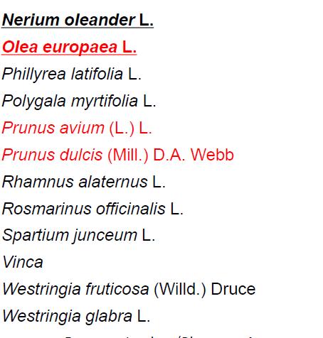 sasa Edinburgh,13-15/9/2016 Μετά τον Ιούλιο 2016 λανθάνουσα Pelargonium x fragrans, 26 o είδος