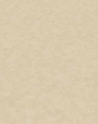 Stone Choice J01 J02 Pro: 1101210208 914,4 x 457,2 x 2,5 mm Compact: 1101190205