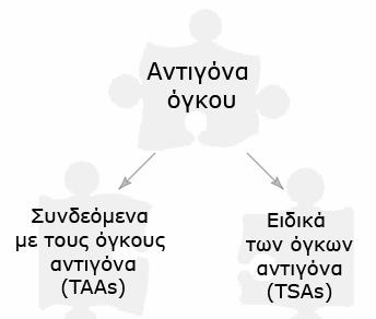 Εισαγωγή Ενίσχυση των μηχανισμών ενεργοποίησης των CD8 T-κυττάρων (CTLs) χρησιμοποιώντας αντιγόνα του όγκου που εκφράζονται από καρκινικά κύτταρα Μικρός αριθμός ασθενών που παρουσίασε