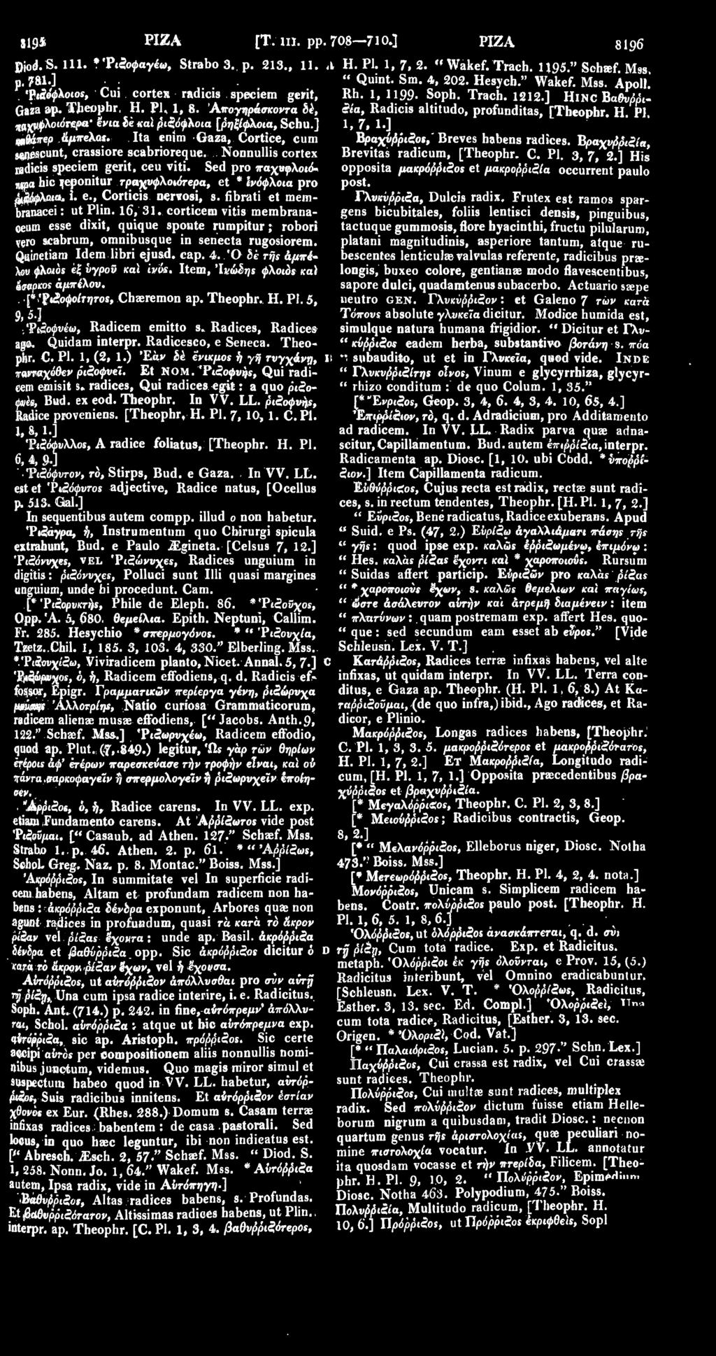 ] «ιβάτερ άμπελο. Ita enim Gaza, Cortice, cum g«d SCunt, crassiore scabrioreque. Nonnullis cortex radicis speciem gerit, ceu viti.