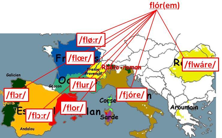 2.3 Répartition des langues romanes (1/2) Prononciations actuelles du mot fleur (< flórem) suivant la langue ou la région