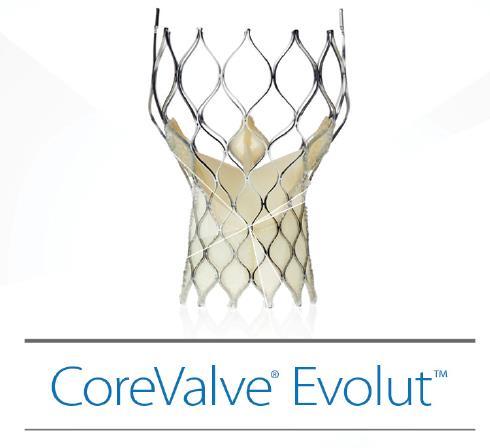 EVOLUT R