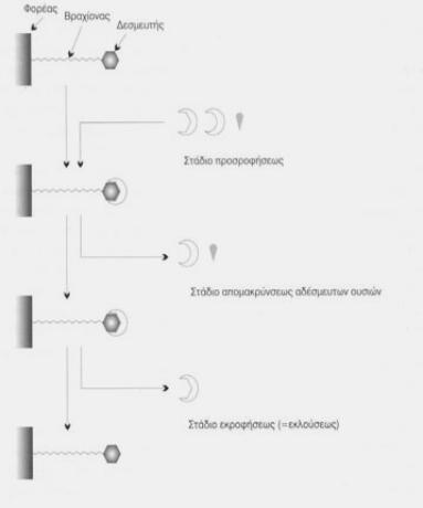 Χρωματογραφία συγγένειας (Affinity Chromatography) Η χρωματογραφία συγγένειας αποτελεί ένα ιδιαίτερο τύπο χρωματογραφίας που διαχωρίζει πρωτεΐνες μέσω αντιστρεπτής εκλεκτικής αλληλεπίδρασης μεταξύ