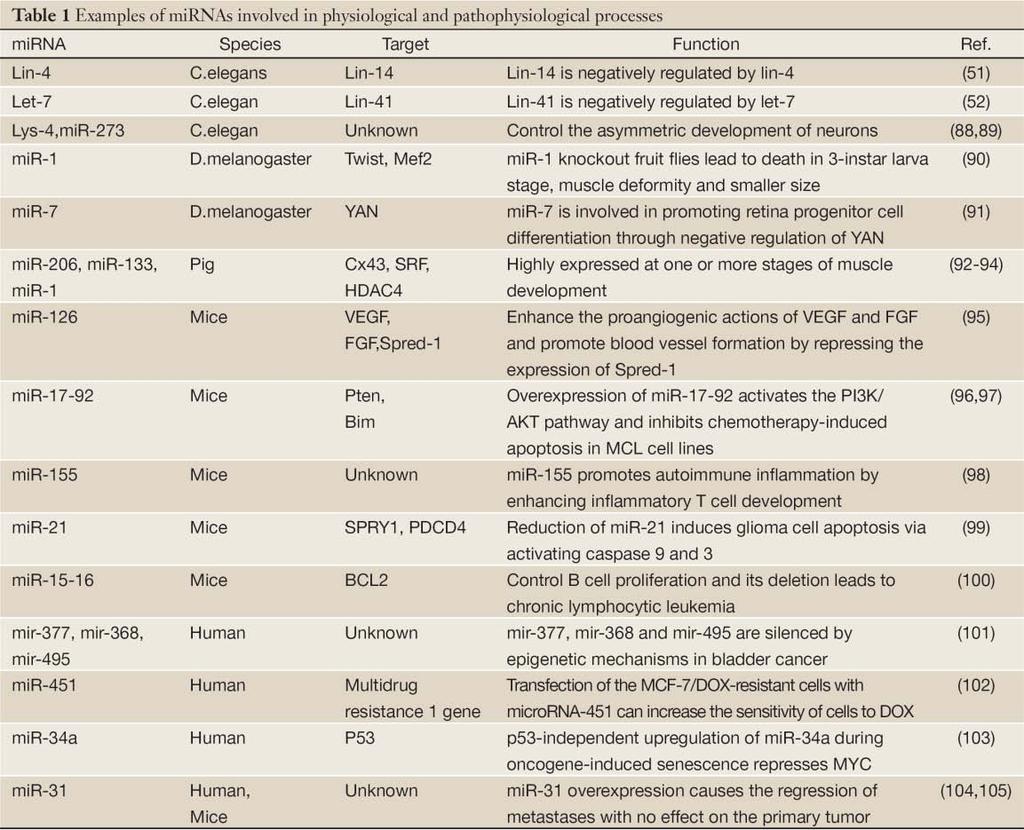 απόπτωσης[47]. Συγκεκριμένα, το mirna let-7 είναι απαραίτητο για τη φυσιολογική ανάπτυξη και έχει ένα χρονικά ρυθμισμένο μοτίβο έκφρασης.