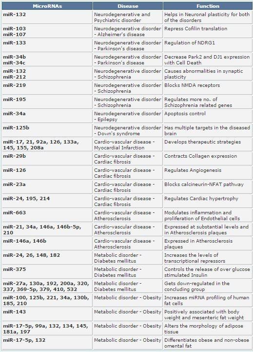 Τα microrna στις ασθένειες Πρόσφατες μελέτες εμπλέκουν τα mirna σε πολλές διαφορετικές ασθένειες, πέρα από τον καρκίνο.