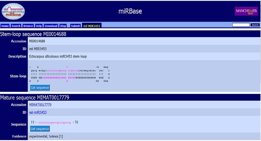 Εικόνα 18: Διεπαφή mirbase Ensembl Η Ensembl είναι ένα project της βιοπληροφορικής το οποίο δημιουργήθηκε το 1999 με σκοπό την αυτοματοποίηση της διαδικασίας της υποσημείωσης των γονιδίων καθώς και