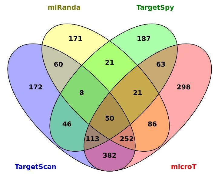 Κοινοί στόχοι προγραμμάτων Στόχοι προγραμμάτων Προγράμματα Κοινοί πραγματικοί στόχοι TargetScan microt 797 (max) miranda microt 409 miranda TargetScan 370 TargetSpy microt 247 TargetScan TargetSpy