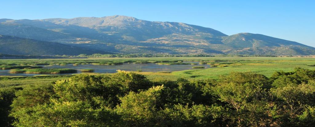 Case study for the Stymfalia Lake and the associated landscape (supported by Thalia Mavrakou) Lake Stymfalia is included in the Natura 2000 network both as a Special Protection Area and a Special