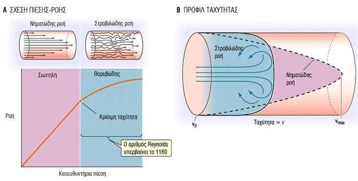 Ο µηχανισµός της ροής µέσα σε ένα αγγείο συνήθως απλοποιείται µε τρεις έννοιες: α) η πίεση άρδευσης (P perfusion pressure), που είναι η διαφορά πίεσης µεταξύ της πλευράς εισόδου και της πλευράς