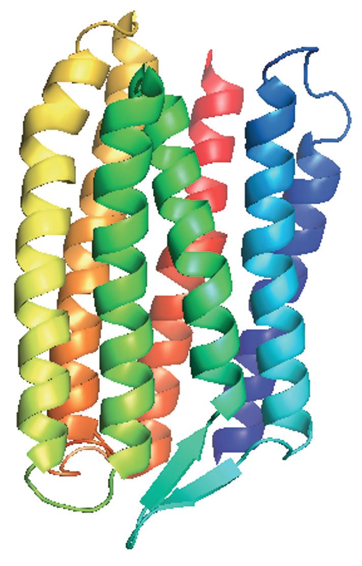 Photons enter the eye through the cornea, pass through the ocular ﬂuid th ΘΕΡΜΟ ΥΝΑΜΙΚΑ ΥΝΑΜΙΚΑ The ocular ﬂuid is principally water, and passa through this medium is largely responsible for the