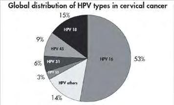 4.Κλινικές Εκδηλώσεις Όπως έχει ήδη αναφερθεί, ο ιός HPV 16 είναι ένας από τους πιο συχνά σεξουαλικά μεταδιδόμενους ιούς με περίπου 630 εκατομμύρια άτομα να έχουν μολυνθεί από τον ιό παγκοσμίως ενώ