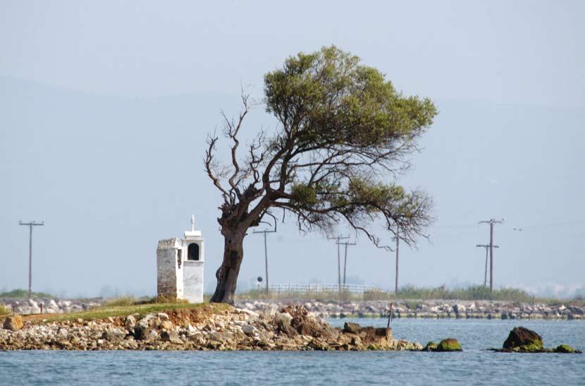 19 ΒΙΒΛΙΟΓΡΑΦΙΑ «Η αλιευτική παράδοση στον Αμβρακικό κόλπο», Υπουργείο Γεωργίας/Νομαρχιακή