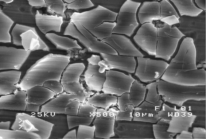 Χημικά στοιχεία % κ.β. Cl 0.14 Cu 1.38 Zn 5.49 Mg 1.78 Al 91.01 Fe 0.19 Πίνακας 5.2.7.3.: Σημειακή στοιχειομετρική χημική ανάλυση μήτρας η οποία έχει αποκαλυφθεί, καθώς έχουν αποκαλυφθεί τα προϊόντα διάβρωσης ( -1000mV vs S.