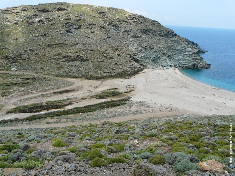 Ασπόνδυλα Βιβλιογραφία Πορτόλου, Δ., Σ. Μπουρδάκης, Χ. Βλάχος, Θ. Καστρίτης και Τ. Δημαλέξης (επ.). 2009. Οι Σημαντικές Περιοχές για τα Πουλιά της Ελλάδας.