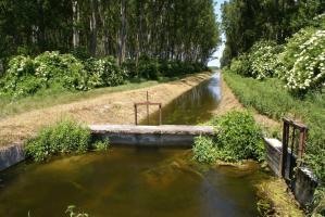 Θ δαςικι διαχείριςθ περιλαμβάνει δραςτθριότθτεσ αναψυχισ, κακϊσ τα δάςθ κατακλφηονται από επιςκζπτεσ, ιδιαίτερα ςε περιοχζσ κοντά ςε μεγάλεσ πόλεισ. Θ πρόςβαςθ ςτα δάςθ είναι ελεφκερθ. Φωτ.