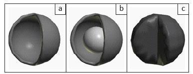 Οι νανοσφαίρες άνθρακα (carbon nanospheres (CNSs)) είναι μια άλλη δομή που έχει παρατηρηθεί και συνδέεται επίσης με τους νανοσωλήνες.