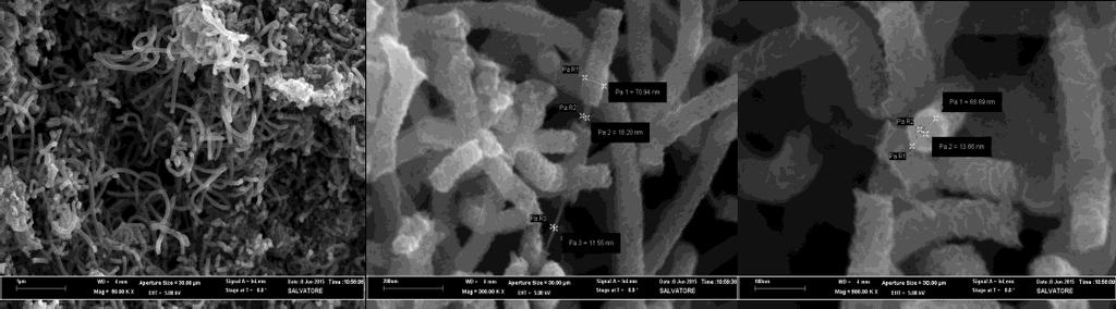 Δείγμα CNT_H700 Στο δείγμα CNT_H700 όπως φαίνεται από το SEM, αναπτύχθηκαν νανοσωλήνες με υψηλή καθαρότητα.