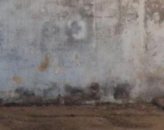 5, εικ.3.6). 3.3.2 Βλάβες τοιχοποιίας Στο κτίριο των παλαιών φυλακών Αμαλιάδας διακρίνουμε στη βόρεια όψη μία διαγώνια ρωγμή μεσαίου πλάτους.