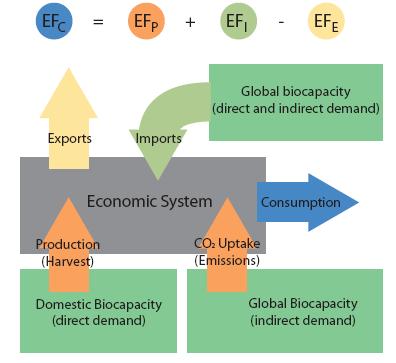όπου EF P είναι το οικολογικό αποτύπωμα της παραγωγής και EF I και EF E είναι τα ενσωματωμένα αποτυπώματα σε εισαγόμενες και εξαγόμενες ροές εμπορευμάτων, αντίστοιχα.