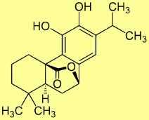 Δενδρολίβανο (Rosmarinus officinalis) Lamiaceae ροζμαρίνι, λασμαρί, αρισμαρές, δυοσμαρίνι, δροσιά της θάλασσας Τα φύλλα περιέχουν