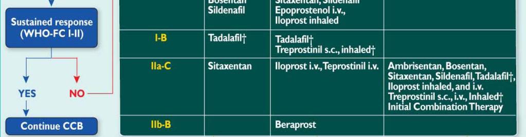 Endothelin